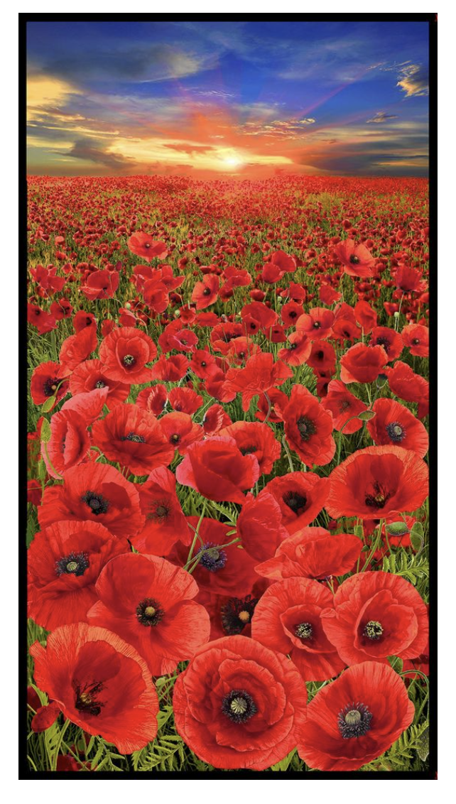 Sunset Poppies PANEL - MULTI by Chong-a Hwang for Timeless Treasures