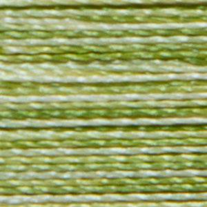 Isacord 9868 Variegated Limemade