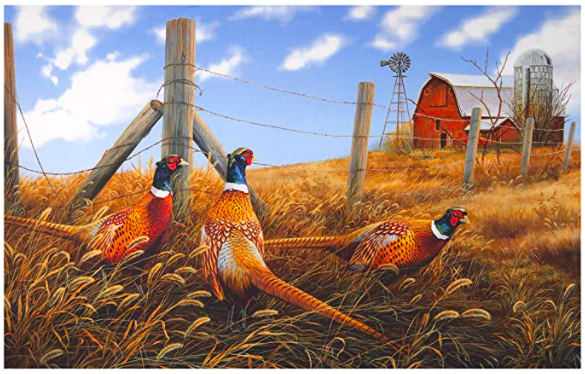 Pheasant Run Panel by Northcott Fabrics