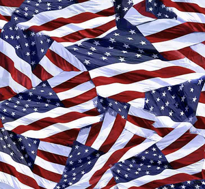 Proud to be an American USA FLAGS for Timeless Treasures